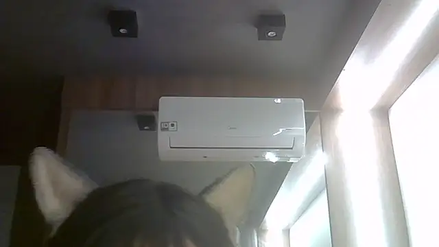 SkinnyKitten webcam