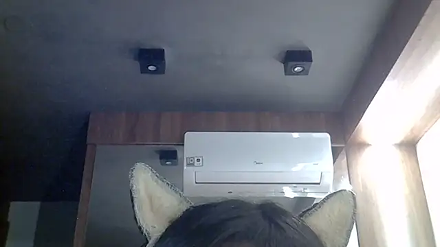 SkinnyKitten webcam