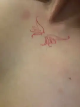 bergmanamii live sex cam