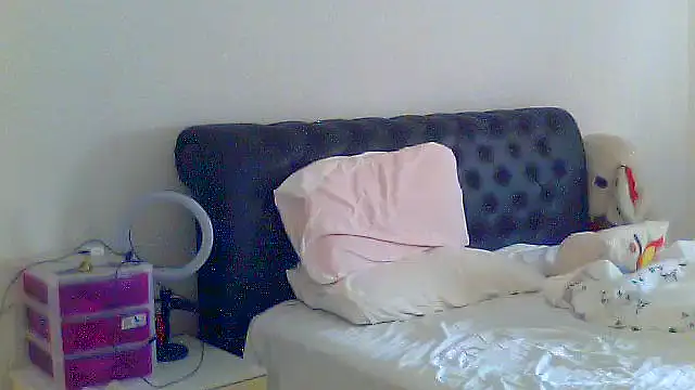 Alaska-perla webcam