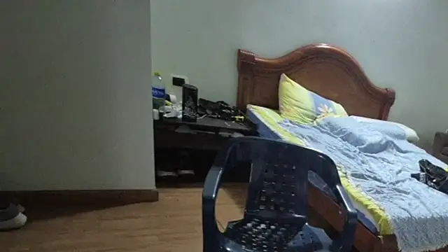 lipzard webcam