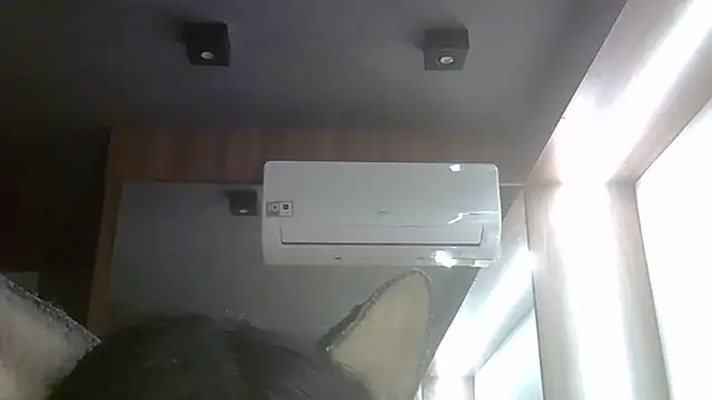 SkinnyKitten live cam on StripChat
