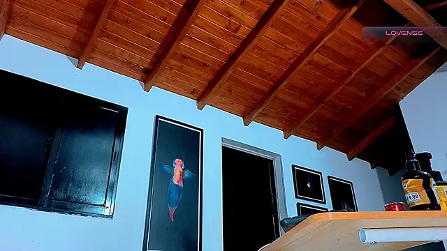 SilvaBranko webcam