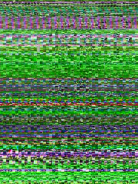 Maxthekid webcam