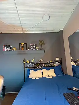 LuisAny webcam