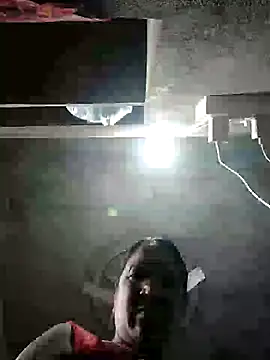 Loomaraj webcam