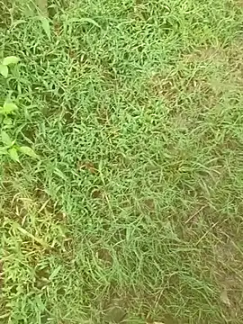 YOURBHABI143 webcam
