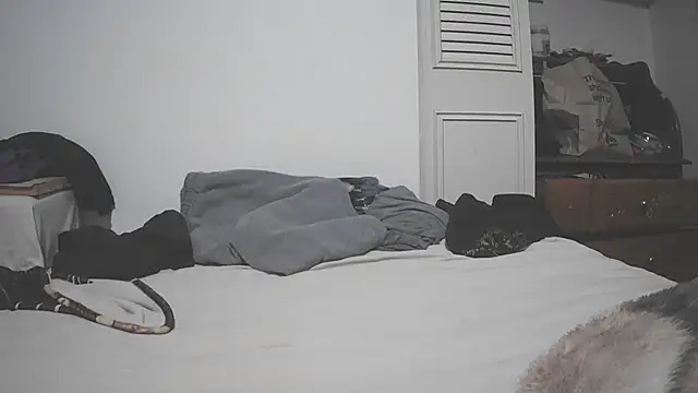 xenoneir9 webcam