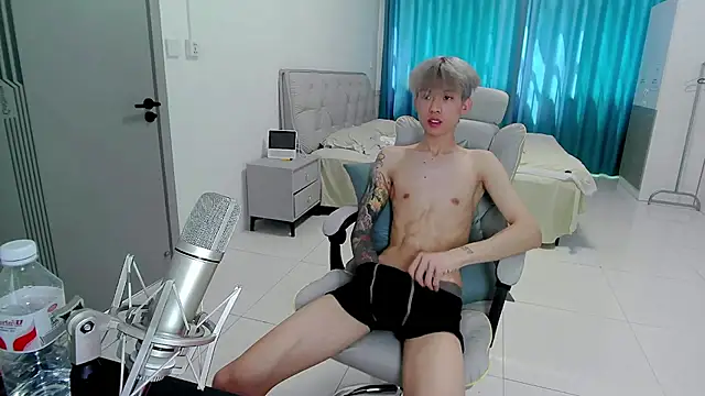 KPL-11 webcam