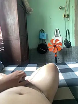 vinhcube webcam