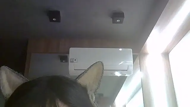 SkinnyKitten webcam