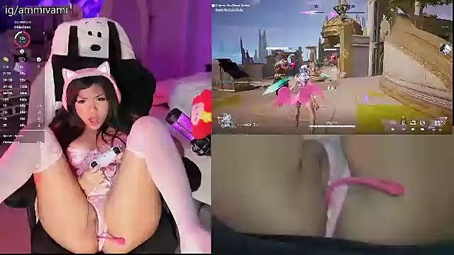 ammiasian webcam