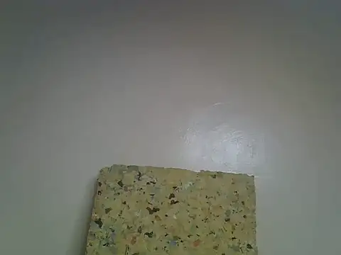 pretty_albright webcam