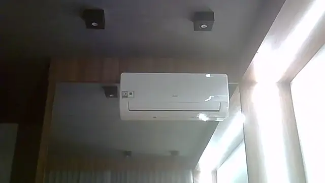 SkinnyKitten webcam