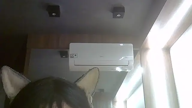 SkinnyKitten webcam