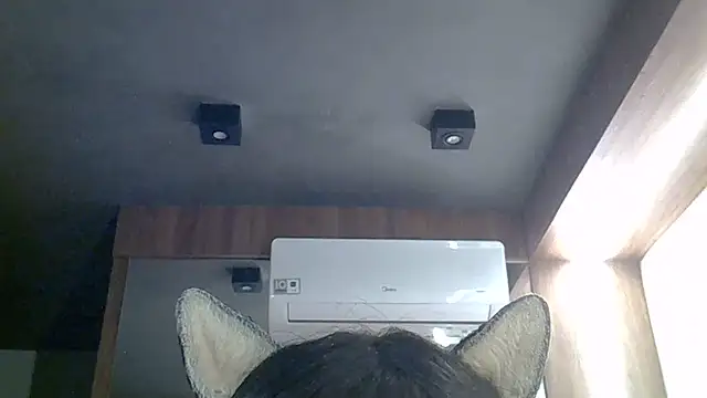 SkinnyKitten webcam