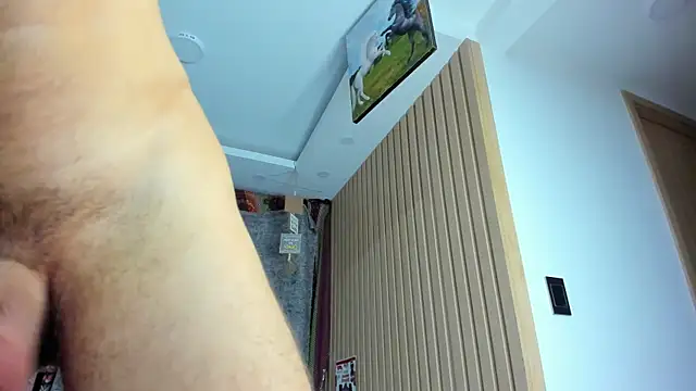 orionblaze69_ webcam