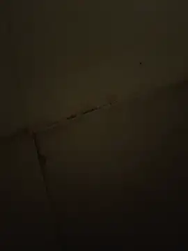 Divya3107 webcam