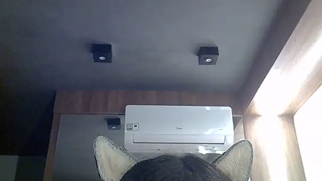 SkinnyKitten webcam