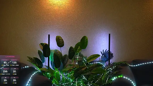 Viola_Becker webcam