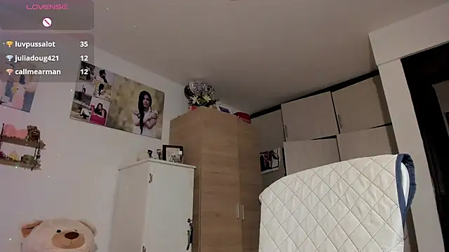 Veronikolsen- webcam