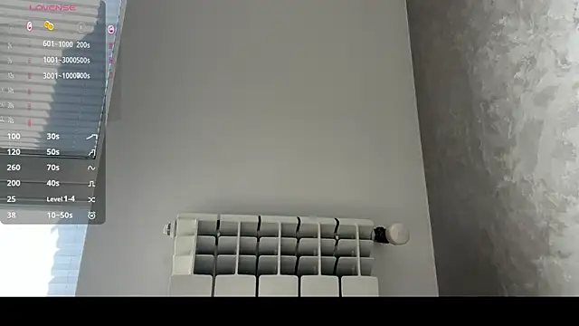 Marina- webcam