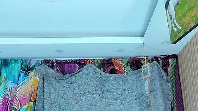 orionblaze69_ webcam