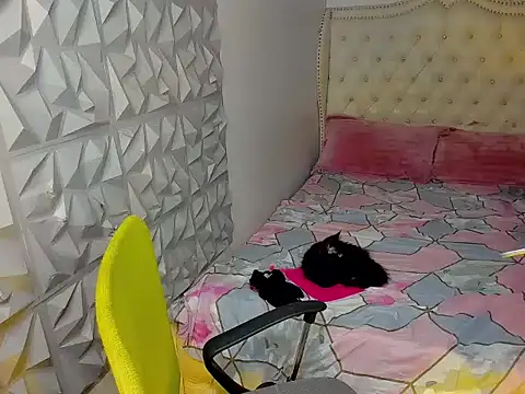 janecomander webcam