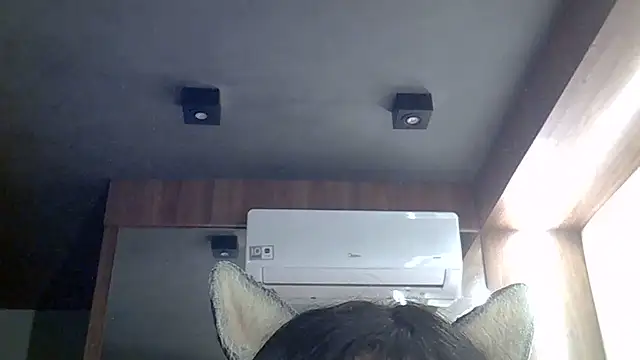 SkinnyKitten webcam
