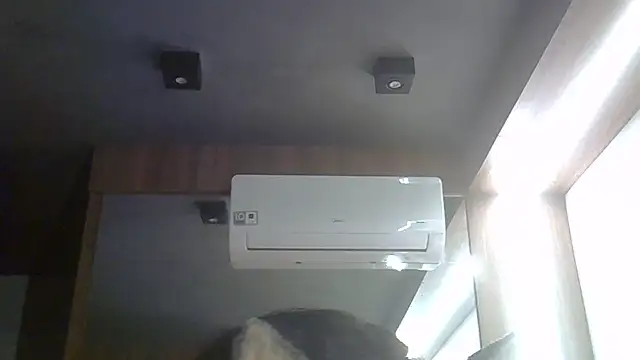 SkinnyKitten webcam