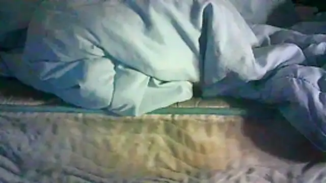 CR3M3_FIR3 webcam