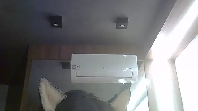 SkinnyKitten live cam