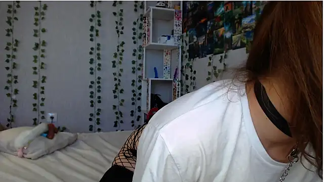 lilidip webcam