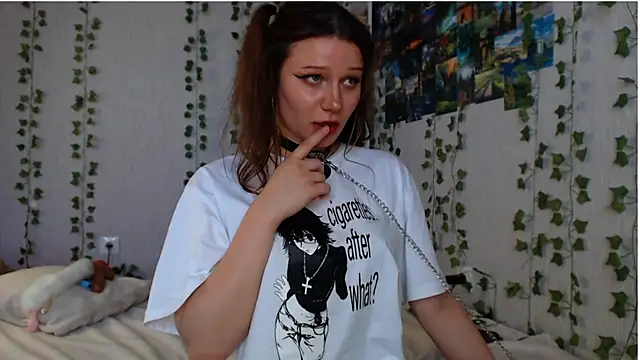 lilidip webcam