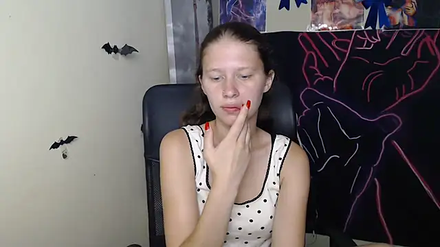 StellaCRL webcam