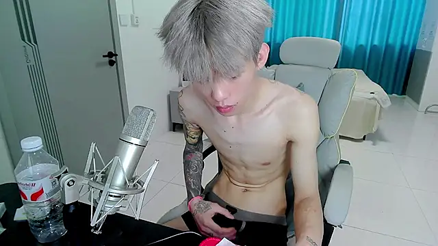 KPL-11 webcam