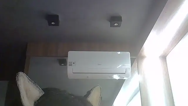 SkinnyKitten webcam