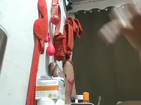 30cmHORSECOCKSELFSUCKER webcam