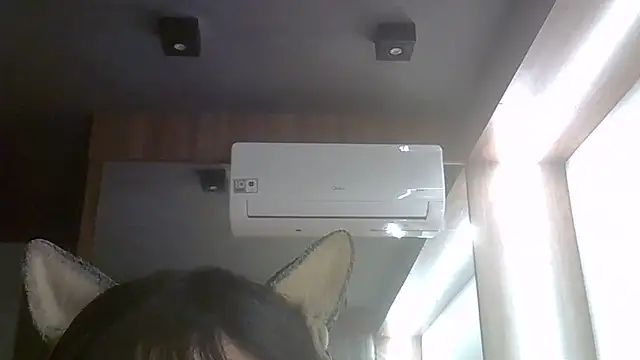 SkinnyKitten webcam