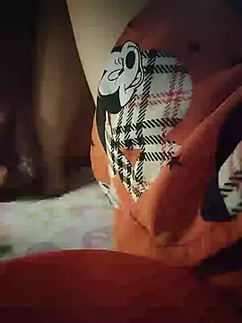-Tara-a webcam