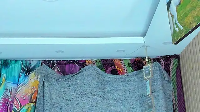 orionblaze69_ webcam