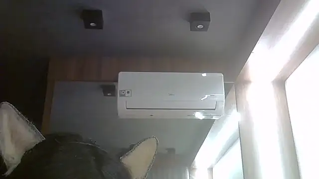 SkinnyKitten webcam
