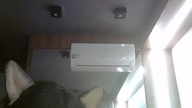 SkinnyKitten webcam