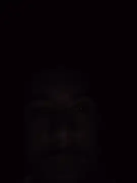 leolim220 webcam