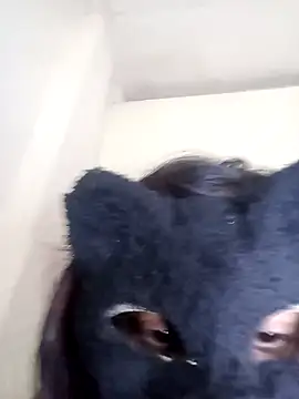 Sl_CutieeX webcam