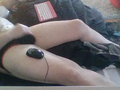 hnhgay webcam