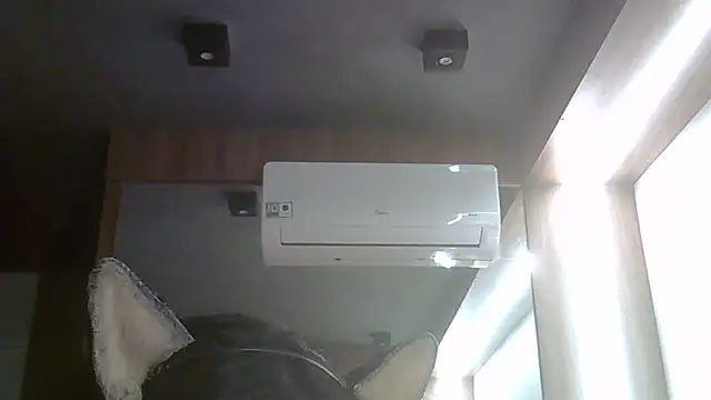 SkinnyKitten webcam