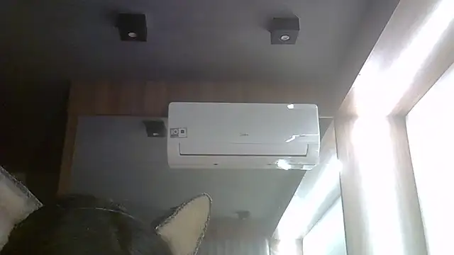 SkinnyKitten webcam