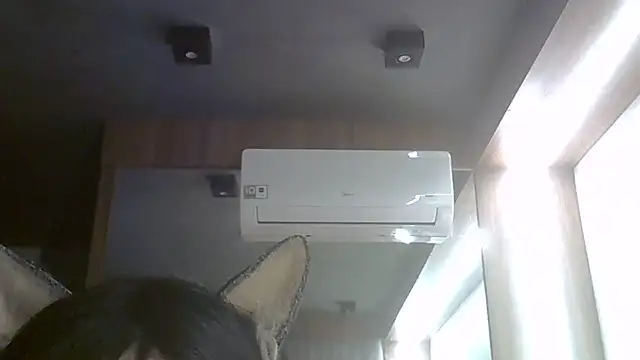 SkinnyKitten webcam