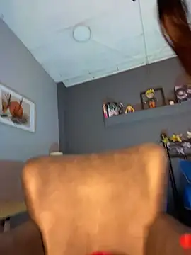 LuisAny webcam